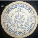 neumarktgans (1).jpg